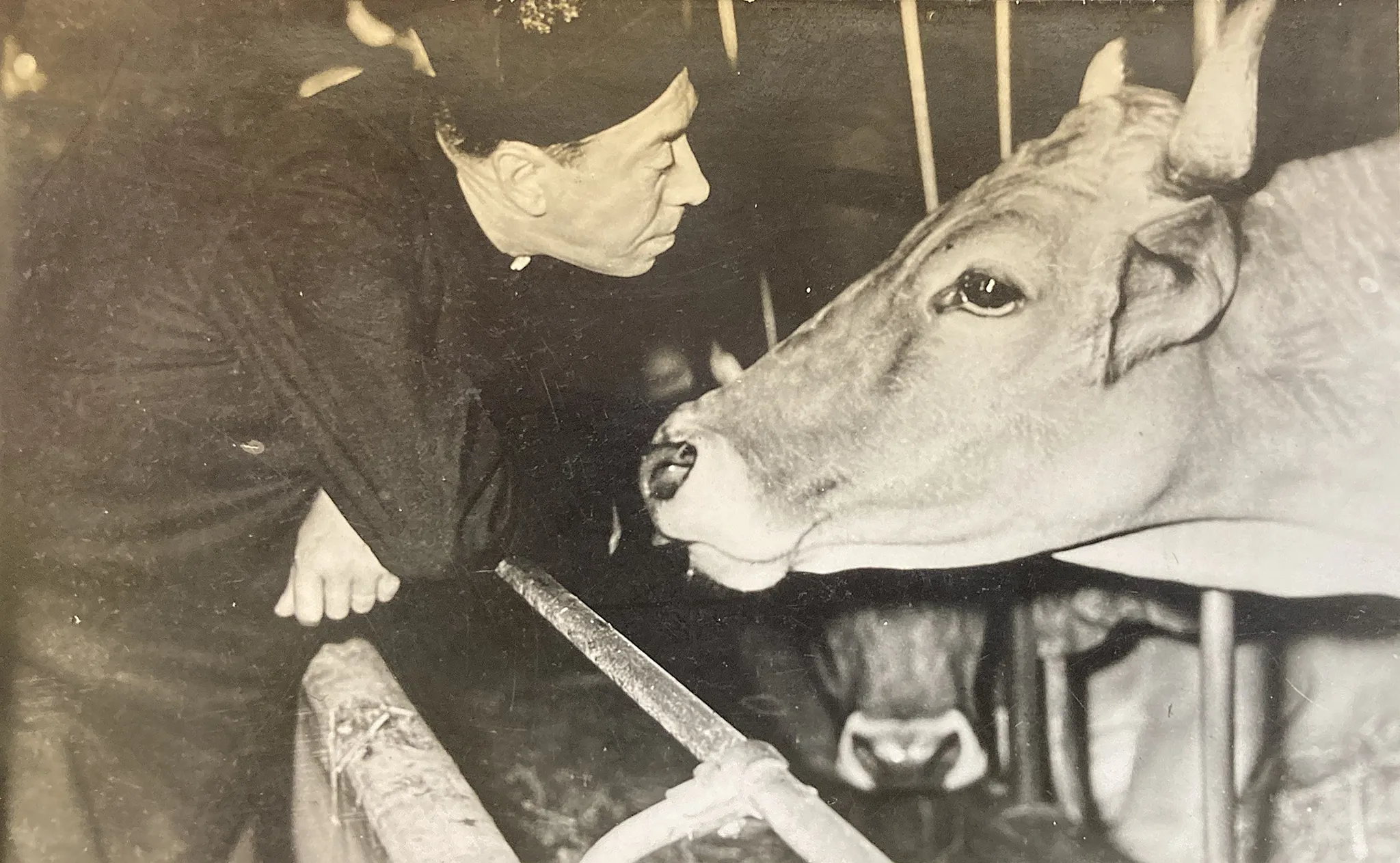 Guareschi_01 Don Camillo